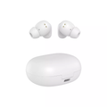 In-ear True Wireless Earbuds with Noise Cancellation